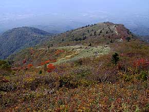 南登山道(左・一の鳥居)西登山道(右・中社)