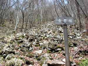 開山祭前の登山だったので、ここから下は倒木が多かった。