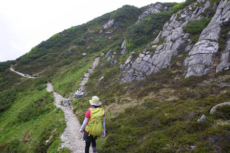 巻き道風ルートを進めば山頂だったが、うかつにも右上の頂が山頂と勘違いして登り込んでしまった (;´Д`)