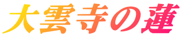 大雲寺の蓮