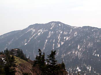四阿山への登山道が真っ白!  なんか やな予感が・・・