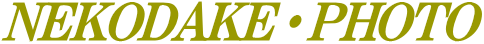 根子岳フォト