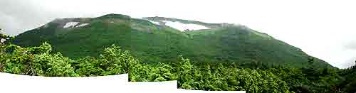 中央右寄りが登山道