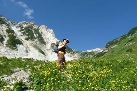 ミヤマキンポウゲ