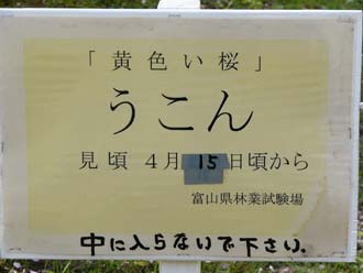 中年のおじさんが「うんこ」と読み間違えて「だから黄色のか?」と・・・  食事中の方 ゴメンナサイ  本当の話です。