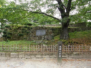 土井晩翠は旧制二校時代取り壊された鶴ヶ城跡を訪れ、名曲「荒城の月」の作詞のきっかけを得たといいます。