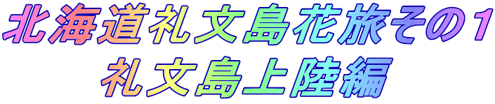 北海道礼文島花旅その1 礼文島上陸編
