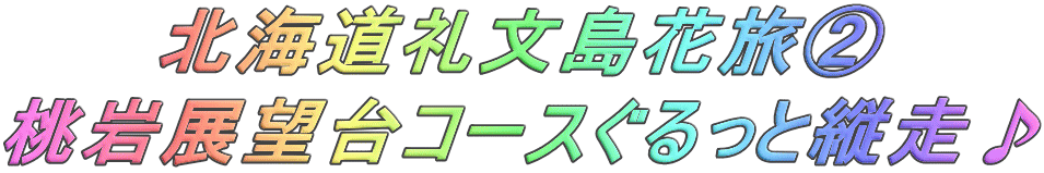 北海道礼文島花旅A 桃岩展望台コースぐるっと縦走♪