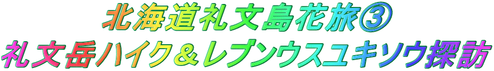 北海道礼文島花旅B 礼文岳ハイク&レブンウスユキソウ探訪