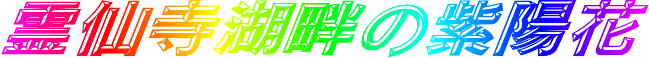 —ì厛ŒÎ”Ȃ̎‡—z‰Ô
