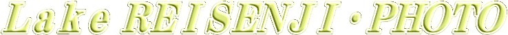 —ì厛ŒÎ”Ȃ̎‡—z‰ÔƒtƒHƒg