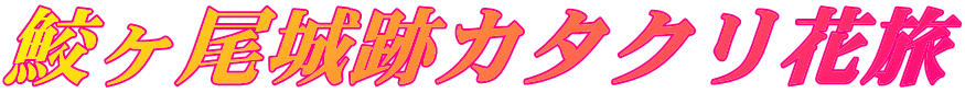 鮫ヶ尾城跡カタクリ花旅