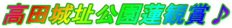 cι¬φ@Οάτ