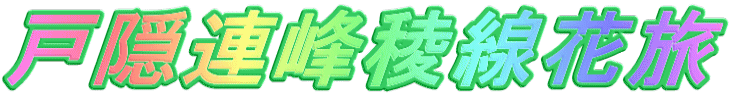 戸隠連峰稜線花旅