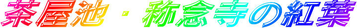 ’ƒ‰®’r•Ì”OŽ›‚Ìg—tE“®‰æ•Ò