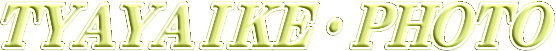 ’ƒ‰®’r•Ì”OŽ›‚Ìg—tE“®‰æ•Ò