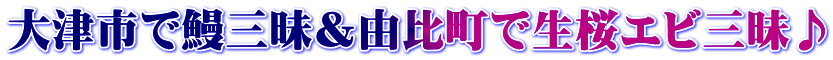 大津市で鰻三昧&由比町で生桜エビ三昧♪